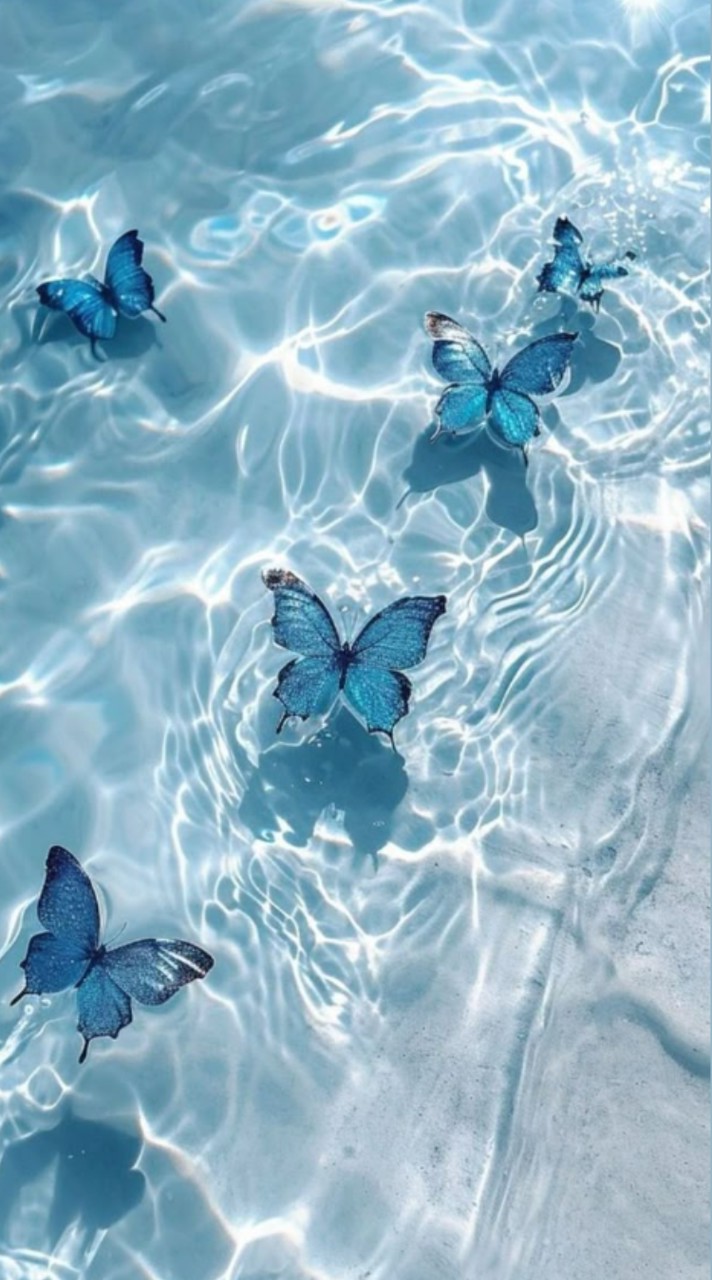 君に届けとこの愛を＊sxxn緩也