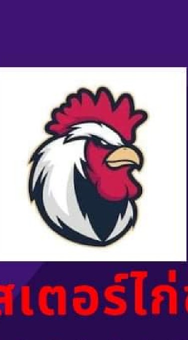 โปสเตอร์ไก่ชนคนรากหญ้า