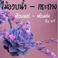 ไม้อวบน้ำ กระถาง อุปกรณ์ปลูกต้นไม้ by Oil