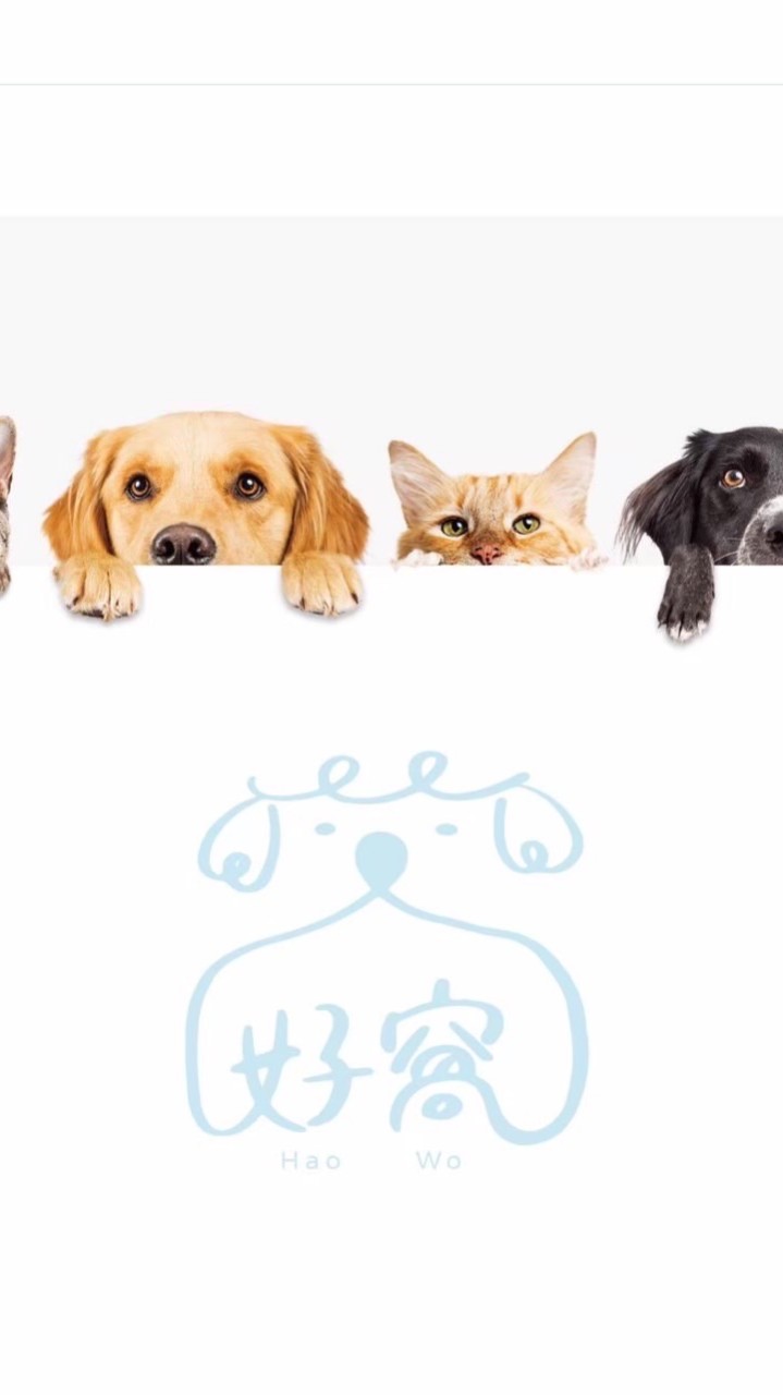 好窩ㄇㄞㄇㄞ
