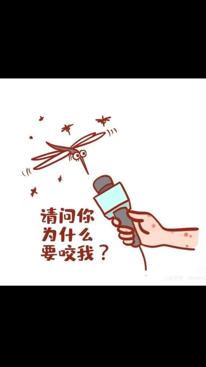 🦟蚊子嗡嗡叫