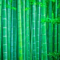 物業保全交流平台