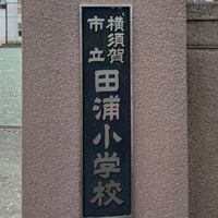 田浦小の3組さん