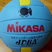フレッシュマンカップ