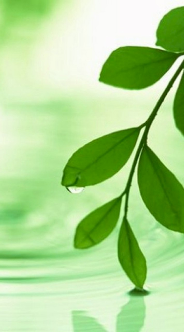 50代～のつぶやき💬トーク疲れた方