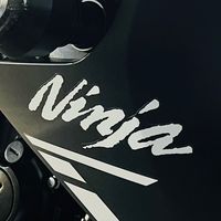 台灣 Kawasaki 650 Club 川崎忍者屋