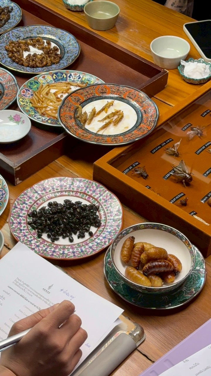 We eat insects 🐜 🐞🦗🐌🐝🪱🐛