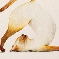 我們是快樂的好兒童