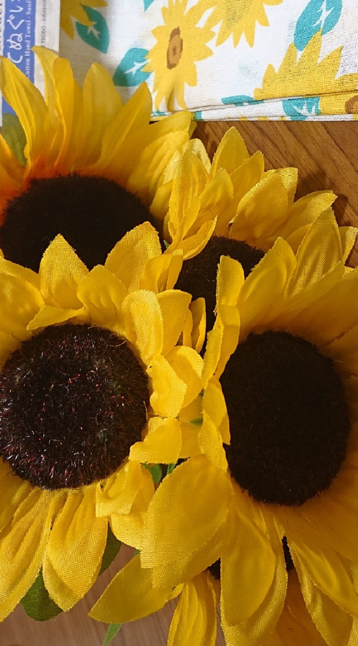 🌻ヒマワリの集い🌻