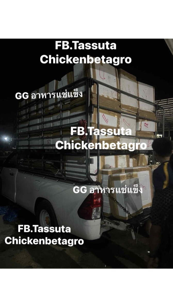 GG ชิ้นส่วนหมูเบทาโกรและชิ้นไก่สด-ฟรีส
