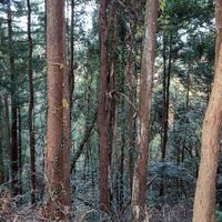 碧山小学校オンライン授業