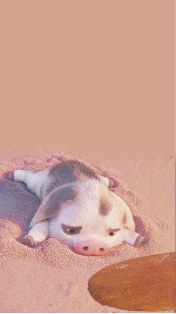 處關係/聊天/吃瓜💗