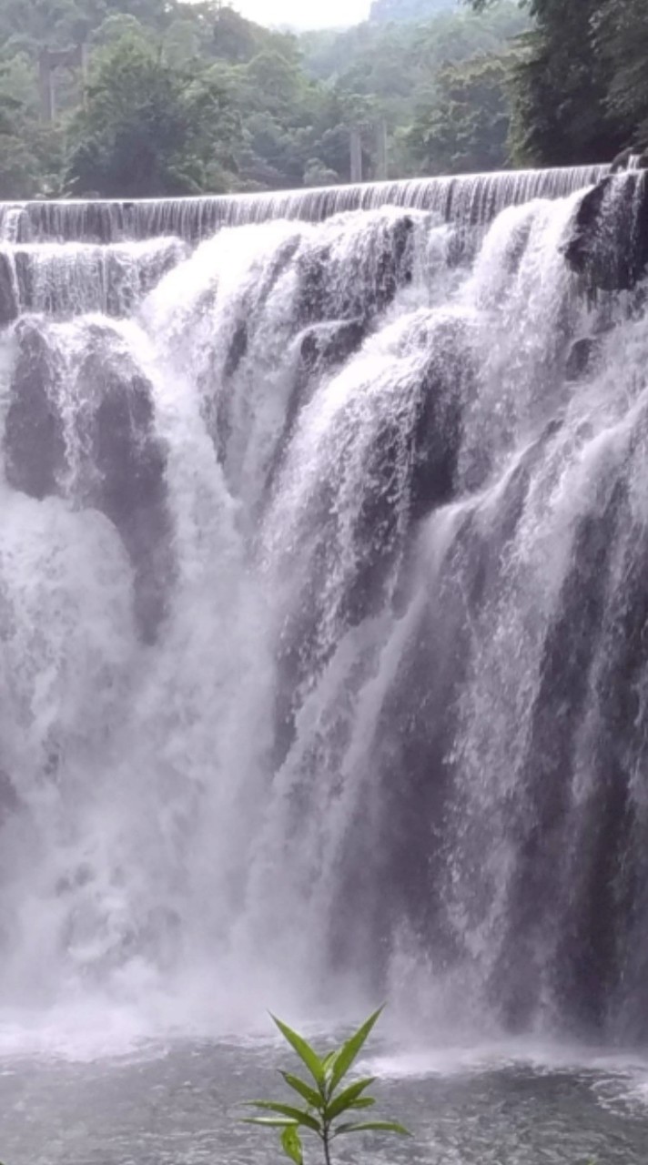 當你不注意時，星星往往會悄悄說再見（傳說交友聊天群）