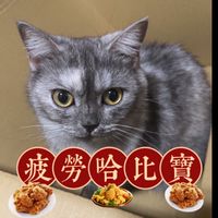 疲勞哈比寶
