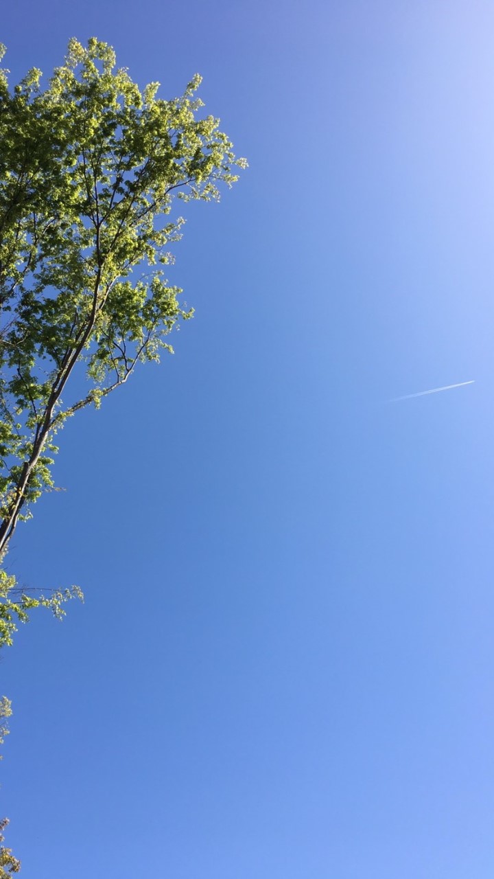 かるちゃるみゅーじっく