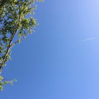 かるちゃるみゅーじっく