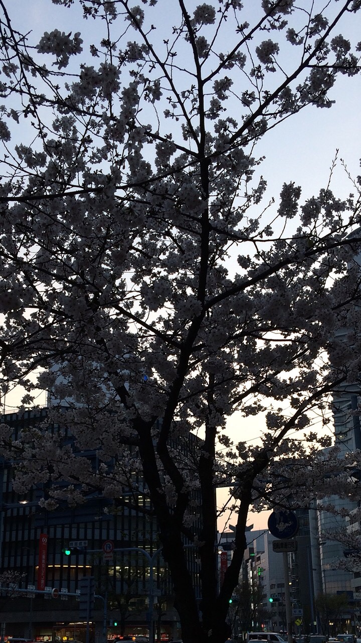 兵庫県立伊丹高等学校65th