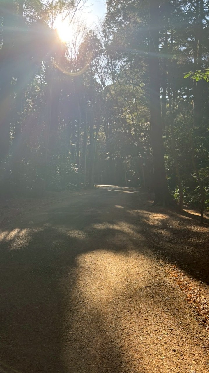 成績爆上げママへの扉【LIFE CORE STUDY】