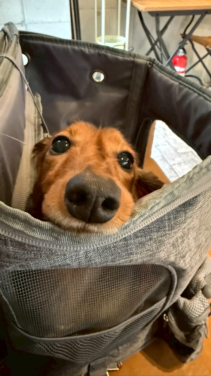 2026年2月ファンレベル25以上の皆さま