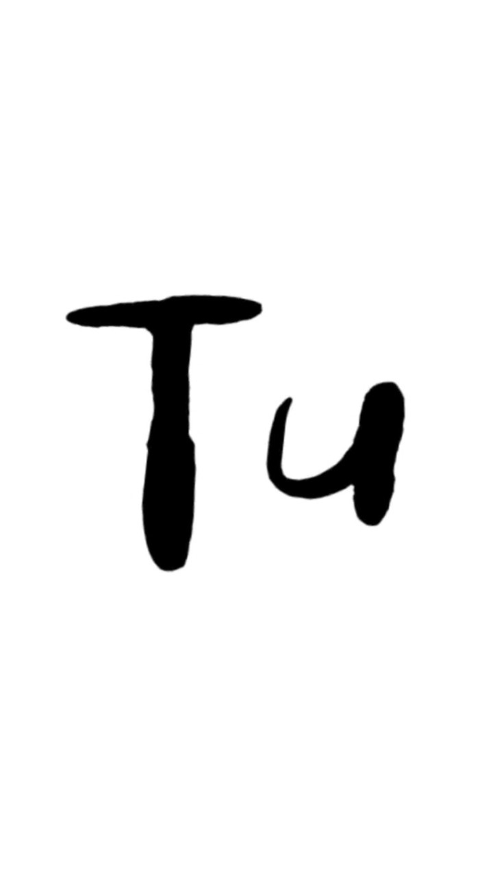 TU虚拟娱乐公司