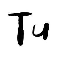 TU虚拟娱乐公司