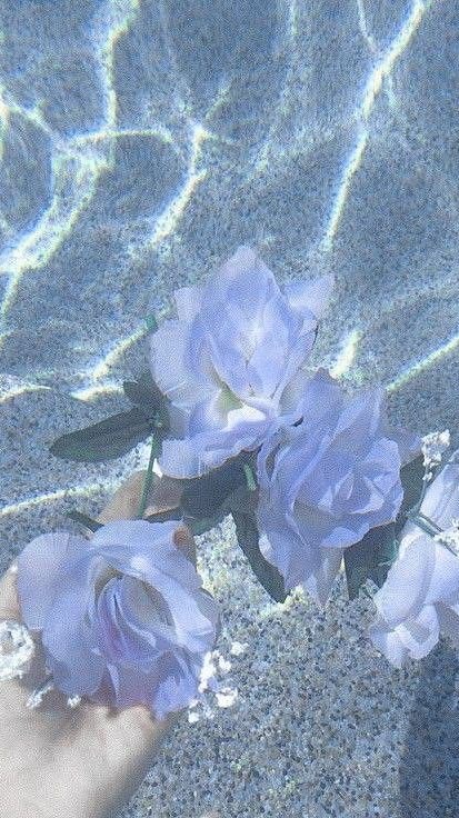 新天地へようこそ！：原神緩也