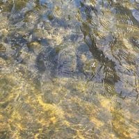 恋バナ　誰でも来て