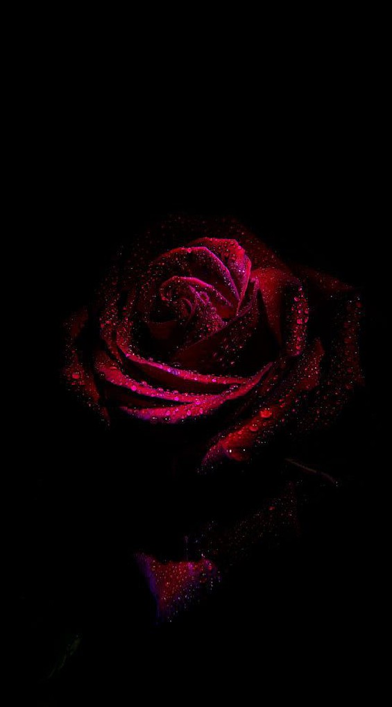 ♠️〰️𝓘𝓓𝓔𝓝𝓣𝓘𝓣𝓨 𝓥〰️♠️[เรท]
