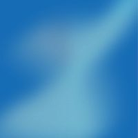 路晰書聊心室