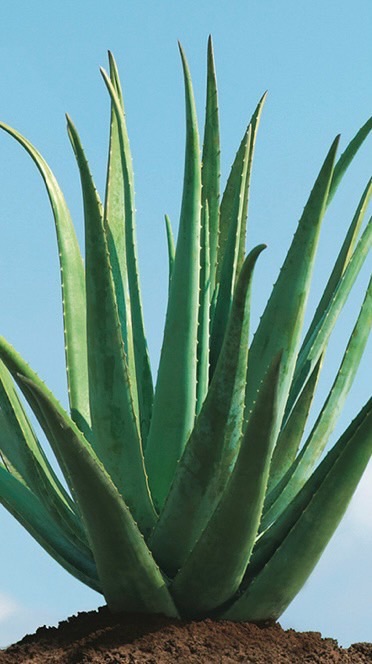 【東海北陸】チャレンジセミナー