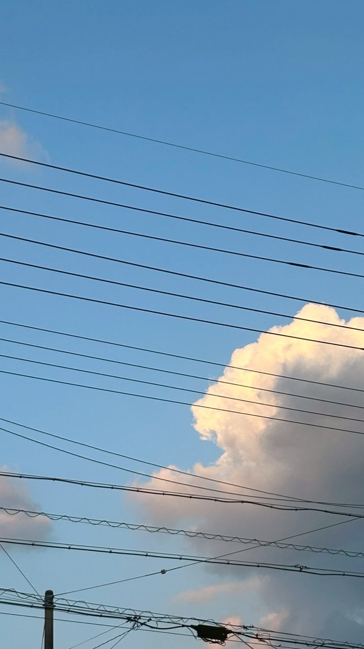 真夏のショッピングモール