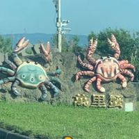 粉新鮮👍-水產海鮮《萬里蟹》