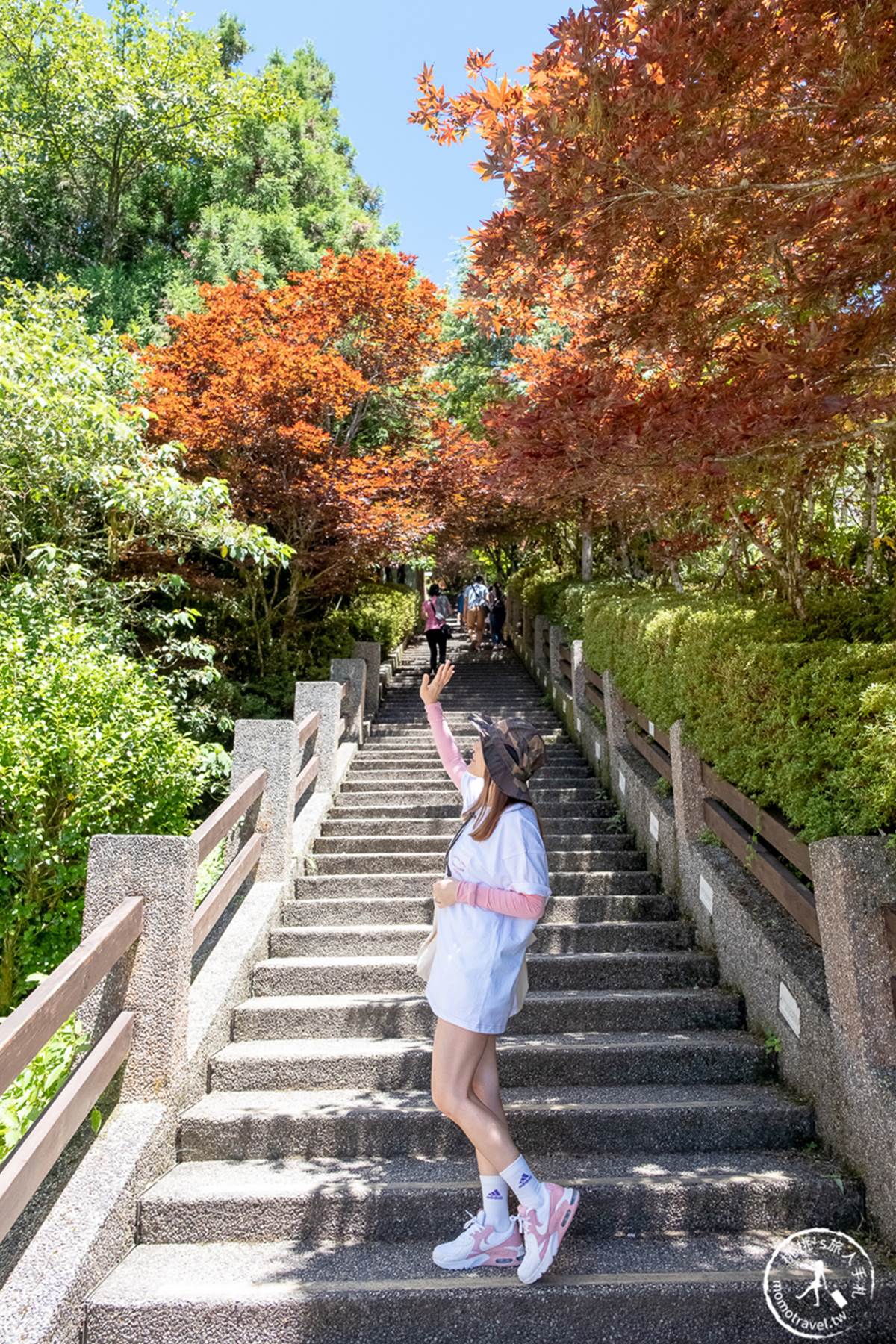 大自然避暑１日遊！宜蘭太平山８景點：森林蹦蹦車、CNN最美步道、楓紅階梯