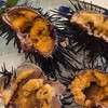 新竹活鮑魚/活紫海膽/透抽/脆卷/生魚片專屬區🫶🏻