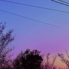 貴方  派   ドッチ  ，？   《 悪魔 × 天使 （堕天使，死神有り） パロ  》