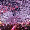 最強運氣✨魔女コミュ〜Ama Terrasse