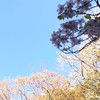 scratcher集まろうぜ！