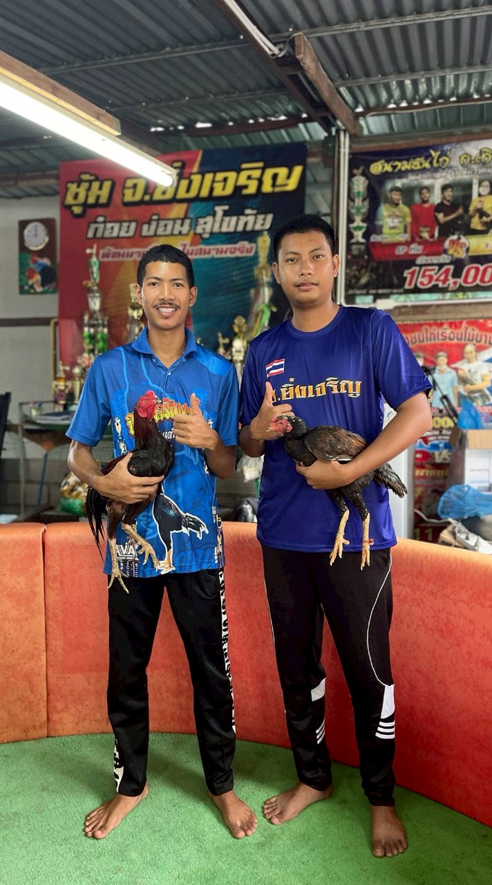 ชื่นสุวรรณ์ ฟาร์ม สุโขทัย ป่าก๋อยสายเลือด จ.ยิ่งเจริญ