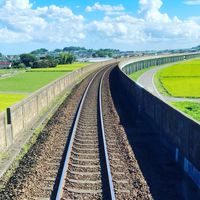 プチ乗り鉄🚃情報館（お得なキップ・公共交通機関旅）