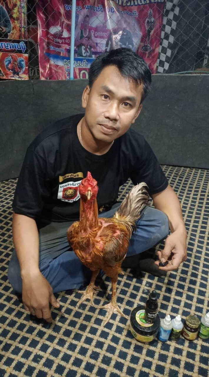 แนวทางทีเด็ดไก่ชน