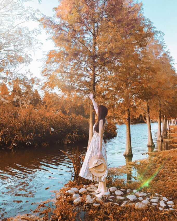 桃園戶外景點 月眉濕地生態園區