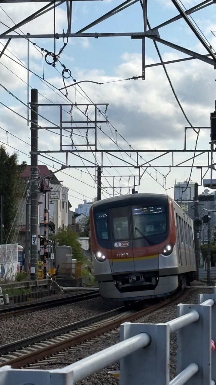 教育の集い