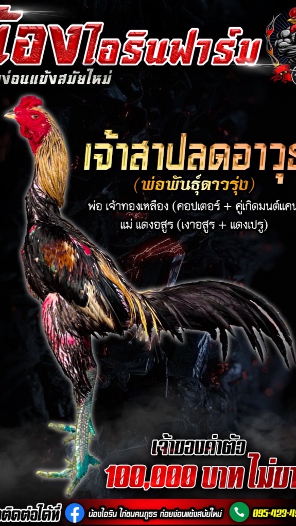 น้องไอริน ก๋อยง่อนแข้งสมัยใหม่