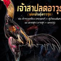 น้องไอริน ก๋อยง่อนแข้งสมัยใหม่