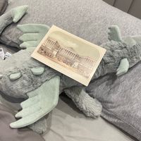 卡蜜商店Jellycat &歐洲代購群