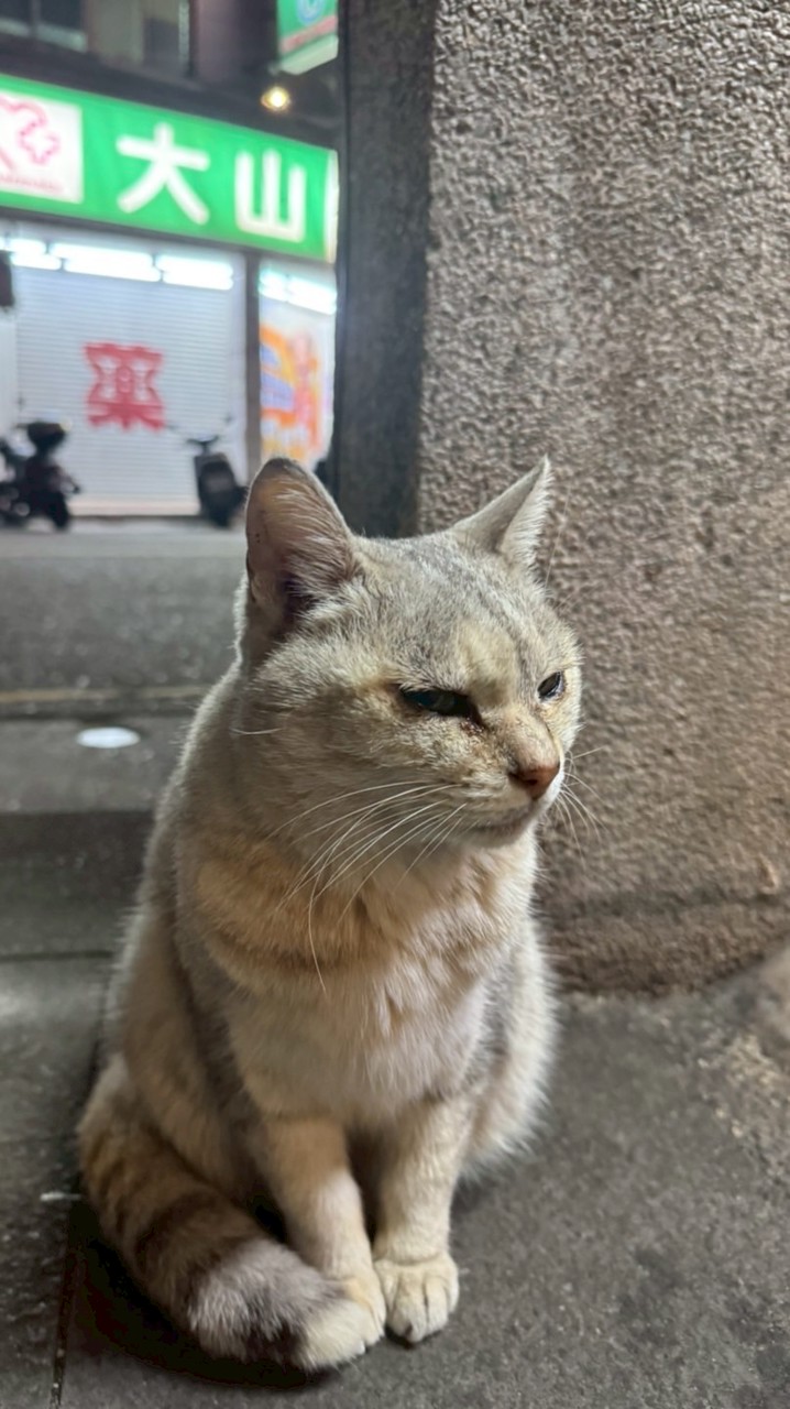 砲三連時代