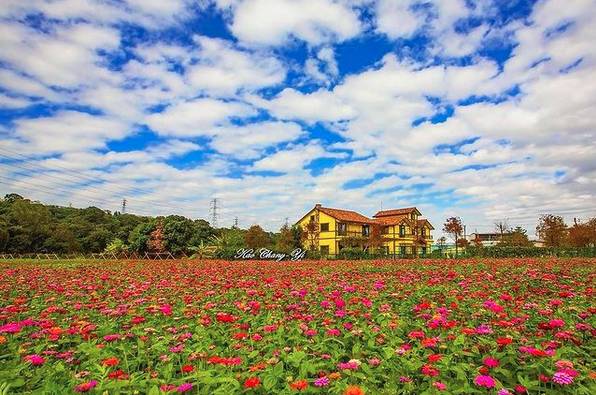 圖片來源：IG @yellowhouse449__