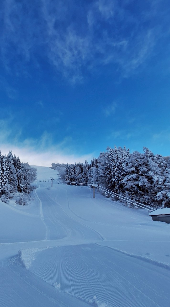 野沢全中アルペン