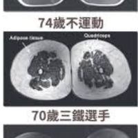 彈力繩運動練肌力（高齡者、銀髮族、高年級生、壯世代）