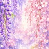 二次創作男士本丸【刀剣乱舞×(全)緩也】
